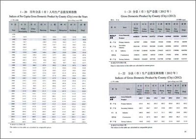 《绍兴统计年鉴(2013)》 绍兴市统计局, 国家统计局绍兴调查队【摘要 书评 试读】图书