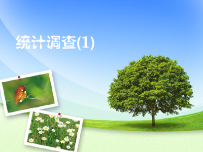 【教师原创】2014届九年级数学复习课件:统计调查